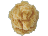 ��֬���ϡ��㲿���Ĳ����Ʒ��